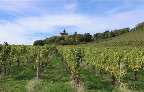 Brackenheim Rundtour2