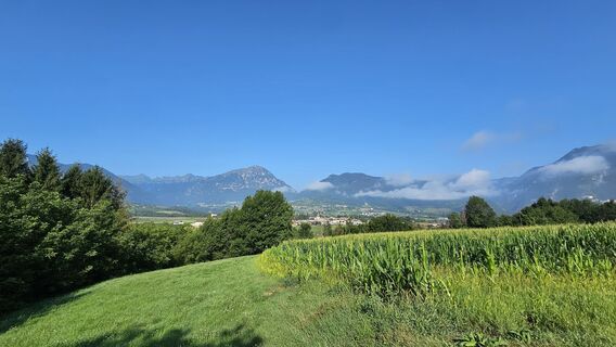 Photo de Cors van Dorp le long du parcours