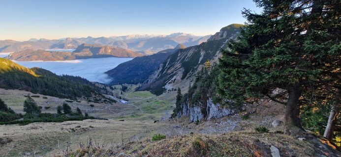 Fotografia z Bernie Haberl na trase