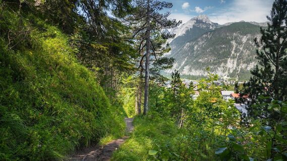 Wanderweg mit Blick auf Scharnitz