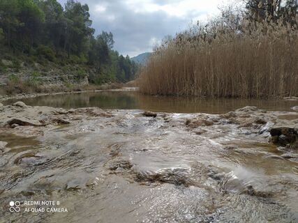 Photo de carmper le long du parcours