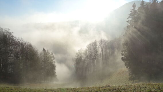 am Weg zur Staffhütte