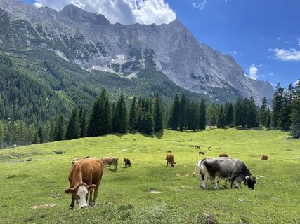Foto da Sebastian Keßler lungo il tour