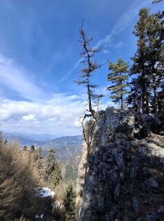 Foto von Eurelia entlang der Tour
