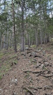 Foto von Аnnа Bal entlang der Tour