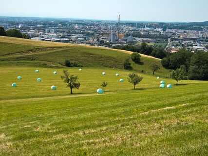 Blick vom Pfenningberg auf Linz