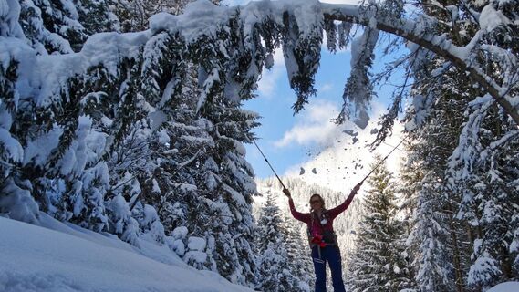 Bei Neuschnee ist es im Wald besonders schön