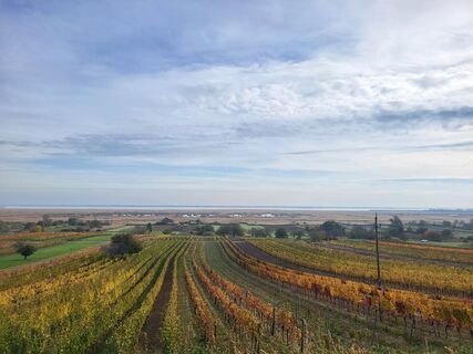 Foto von ?bio.hof entlang der Tour