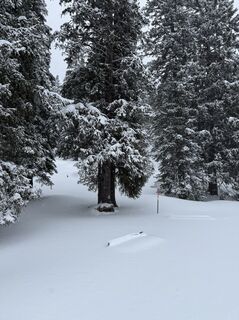 Fotografie z Steffen Wagner na trase