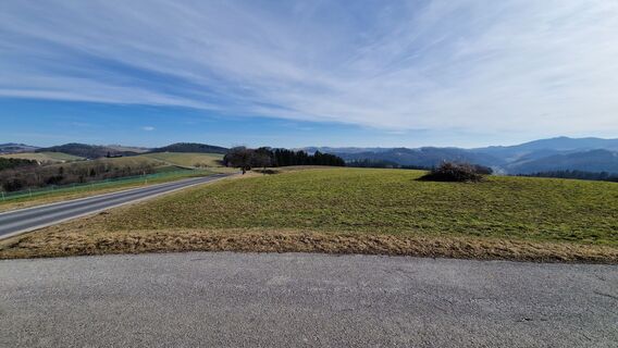 Photo de Leo Reiterer le long du parcours