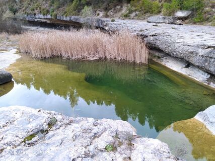 Photo de carmper le long du parcours