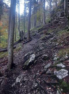 Photo de Christian Priller le long du parcours