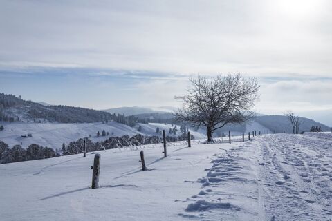 Winterlandschaft Radschert
