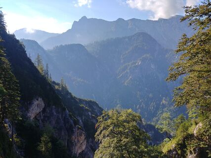 Zdjęcie z Wutha wzdłuż trasy