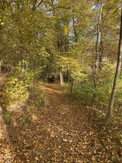 Photo de Biernase1 le long du parcours
