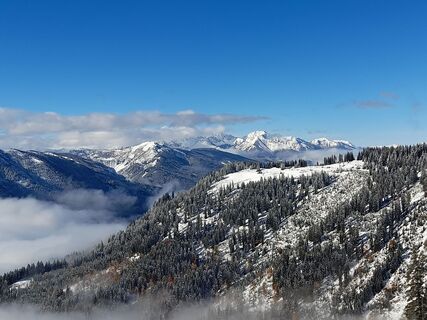 Foto van sumi langs de tour