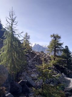 Kuva osoitteesta WolBo matkan varrella