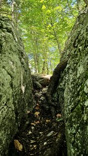 Fotografija s spletne strani Grieshofer Gerlinde na poti