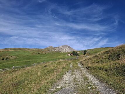 Photo de Michael Putz le long du parcours