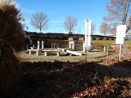 Photo de Flora 1952 le long du parcours