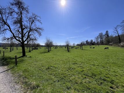 Photo de Kathrin N. le long du parcours