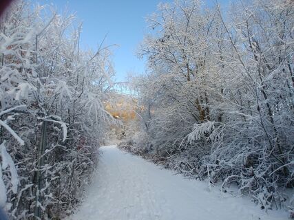 Fotografia z Iris Perkmann na trase