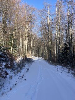 Foto de steste74 a lo largo del recorrido