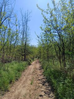 Zdjęcie z Dominik Séllei wzdłuż trasy