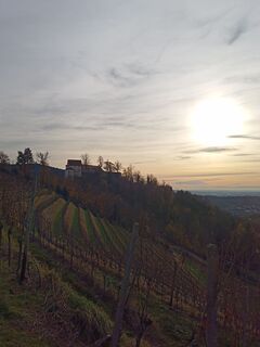 Foto von Laifernorbert entlang der Tour