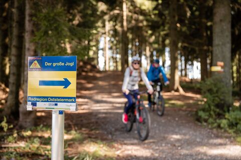 Der große Jogl Tafel_St. Jakob im Walde_Oststeiermark