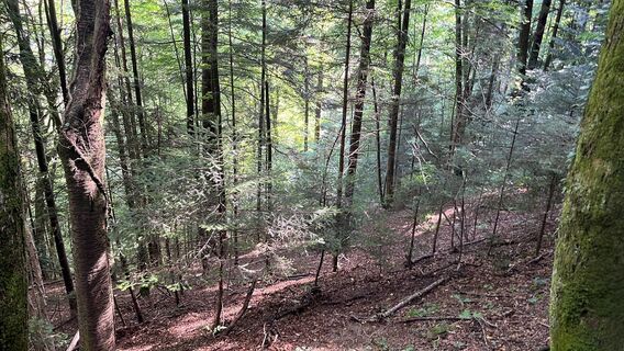 Zdjęcie z Alberto Ghiretti wzdłuż trasy