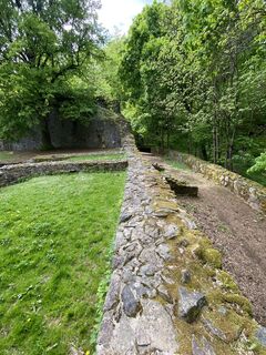 Foto da Arthur Muskalla lungo il tour