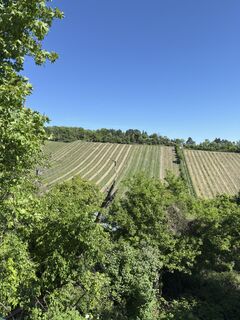 Foto von Alexander Wastian entlang der Tour