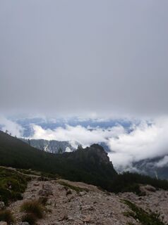Photo de Thomas Ralser le long du parcours
