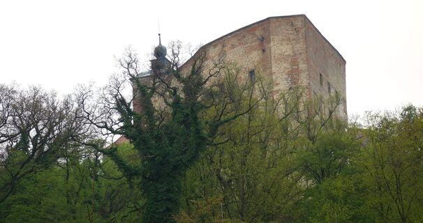 Blick hoch zum Schloss Ernstbrunn