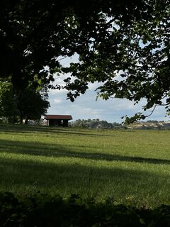 Foto de Pituschka a lo largo del recorrido