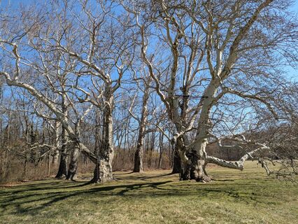 Foto von Edero entlang der Tour