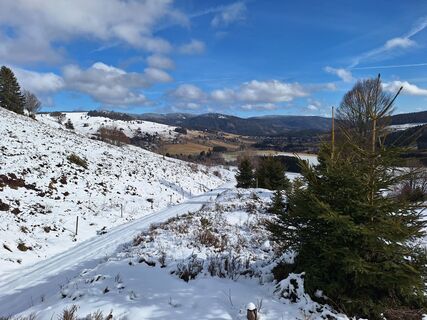 Photo from Katharina along the tour