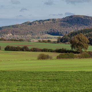 Blick zur Grefenburg