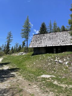 Fotografija s spletne strani Enikő Pap na poti