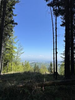 Foto van Babs Holz langs de tour