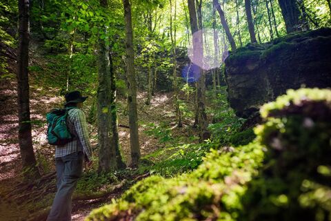Durchs Felsental verläuft auch der europäische Qualitätswanderweg Albtraufgänger