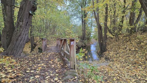 Fotografija s spletne strani Katja Senkel na poti