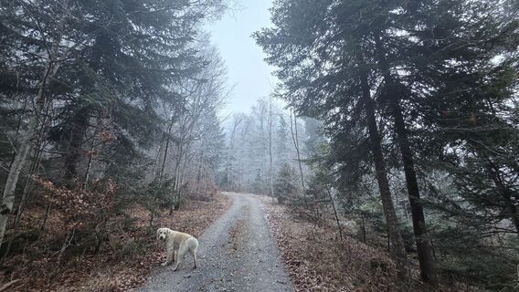 Photo de V Feurstein le long du parcours