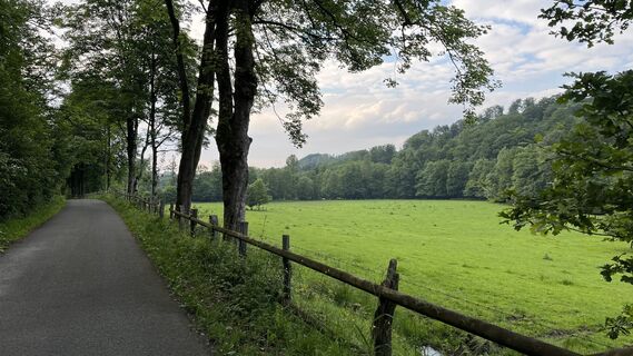 Foto von Siggi unterwegs entlang der Tour
