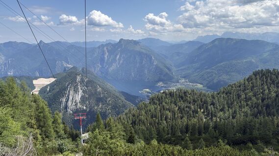 Fotografija s spletne strani 0x746821 na poti