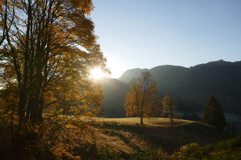 Herbststimmung am Morgen