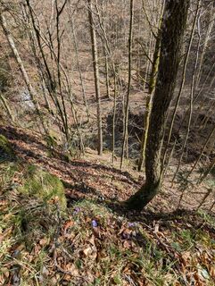 Foto da H&M lungo il tour