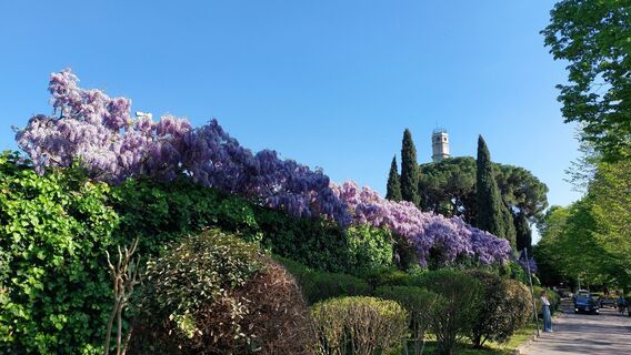 Photo de RobertE le long du parcours