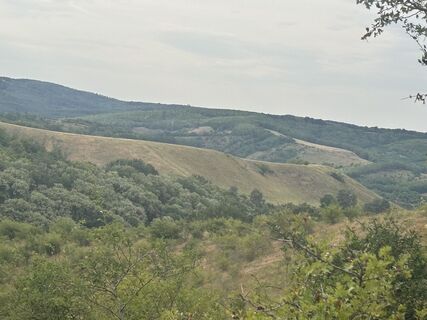 Fotografija s spletne strani Várhelyi Alicia na poti
